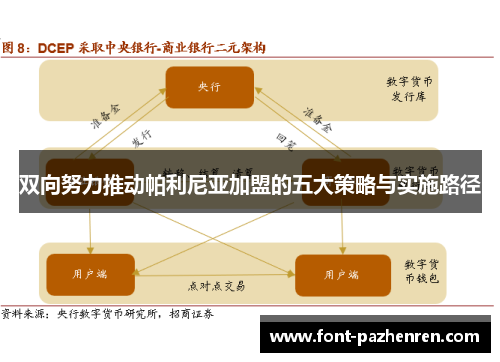 双向努力推动帕利尼亚加盟的五大策略与实施路径