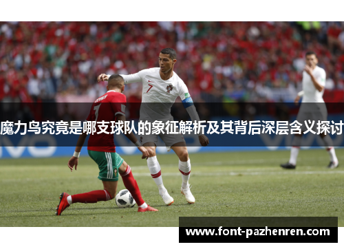 魔力鸟究竟是哪支球队的象征解析及其背后深层含义探讨