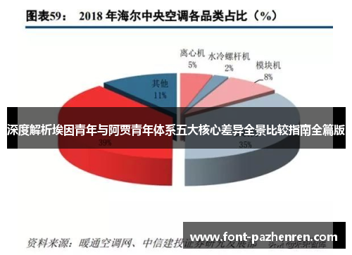 深度解析埃因青年与阿贾青年体系五大核心差异全景比较指南全篇版 深度解析埃因青年与阿贾青年体系五大核心差异全景比较指南全篇版