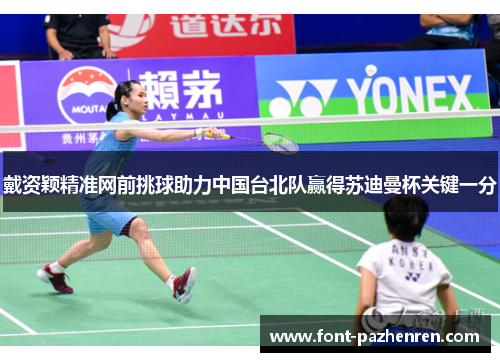 戴资颖精准网前挑球助力中国台北队赢得苏迪曼杯关键一分 戴资颖精准网前挑球助力中国台北队赢得苏迪曼杯关键一分