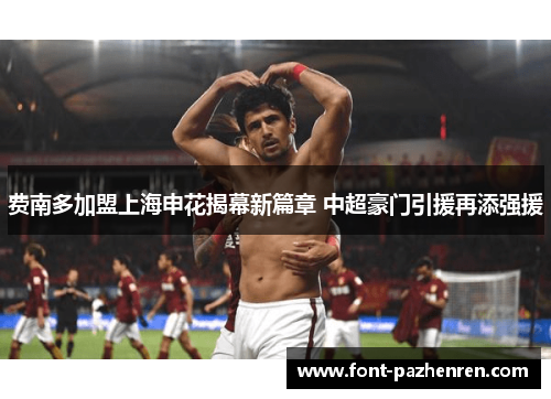 费南多加盟上海申花揭幕新篇章 中超豪门引援再添强援 费南多加盟上海申花揭幕新篇章 中超豪门引援再添强援