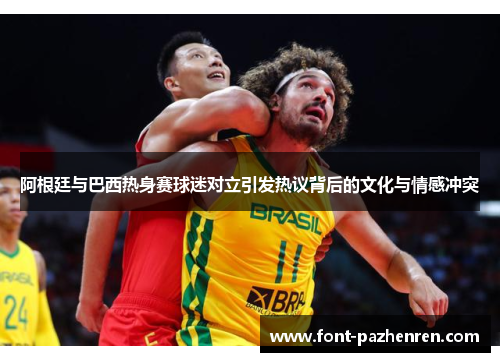 阿根廷与巴西热身赛球迷对立引发热议背后的文化与情感冲突